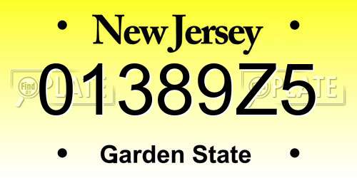 01389Z5 New Jersey License Plate