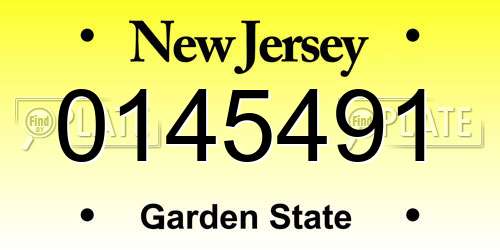 0145491 New Jersey License Plate