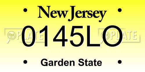 0145LO New Jersey License Plate