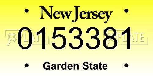 0153381 New Jersey License Plate