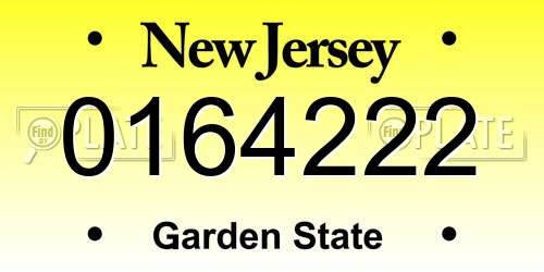 0164222 New Jersey License Plate