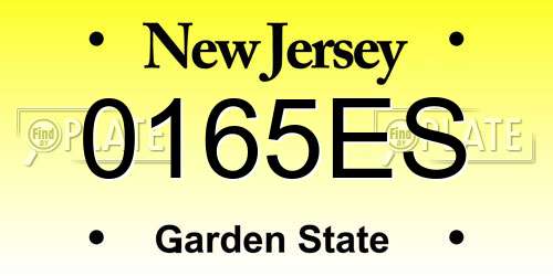 0165ES New Jersey License Plate