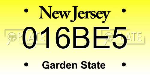 016BE5 New Jersey License Plate