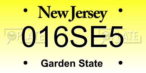 016SE5 New Jersey License Plate