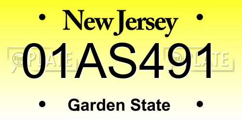 01AS491 New Jersey License Plate