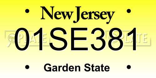 01SE381 New Jersey License Plate