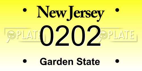 0202 New Jersey License Plate