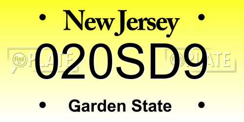 020SD9 New Jersey License Plate