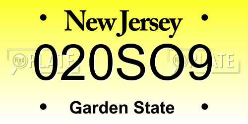 020SO9 New Jersey License Plate