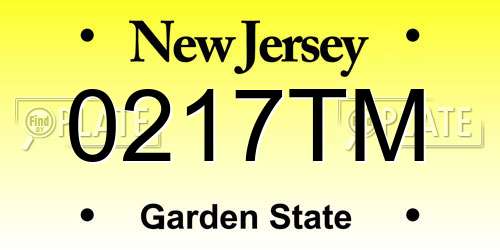 0217TM New Jersey License Plate