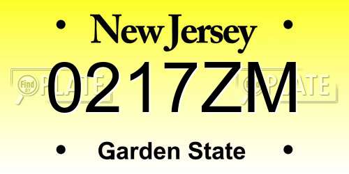 0217ZM New Jersey License Plate