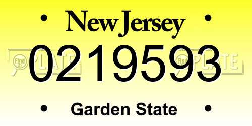 0219593 New Jersey License Plate