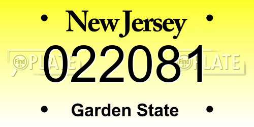 022081 New Jersey License Plate