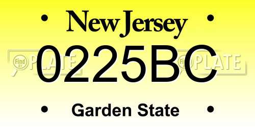 0225BC New Jersey License Plate