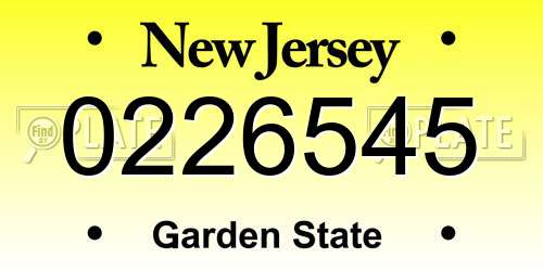 0226545 New Jersey License Plate
