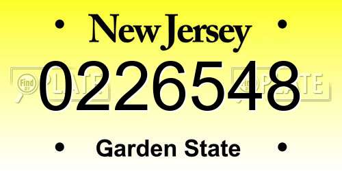 0226548 New Jersey License Plate