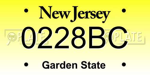 0228BC New Jersey License Plate