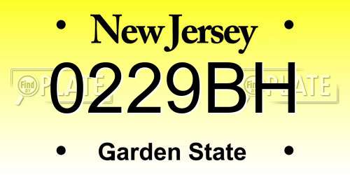0229BH New Jersey License Plate