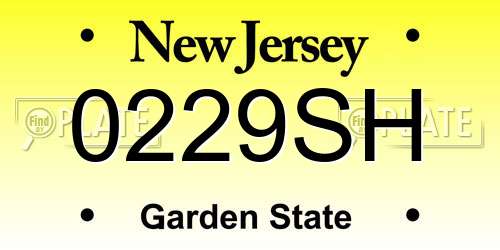 0229SH New Jersey License Plate
