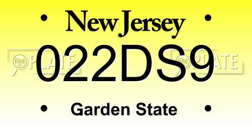 022DS9 New Jersey License Plate