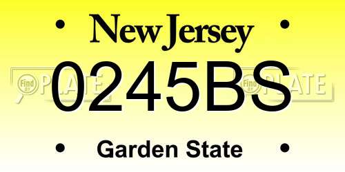 0245BS New Jersey License Plate