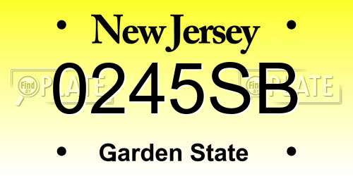 0245SB New Jersey License Plate