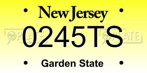 0245TS New Jersey License Plate