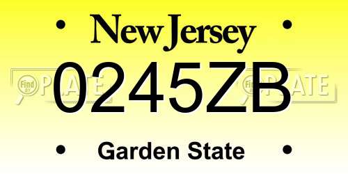 0245ZB New Jersey License Plate