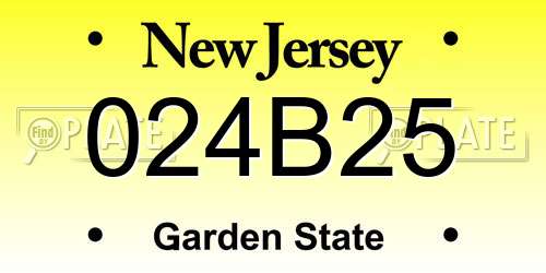 024B25 New Jersey License Plate