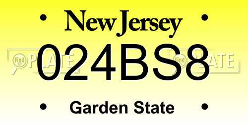 024BS8 New Jersey License Plate