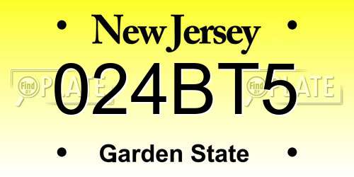 024BT5 New Jersey License Plate