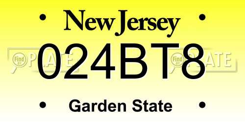 024BT8 New Jersey License Plate