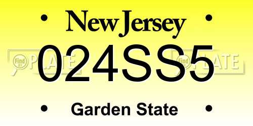 024SS5 New Jersey License Plate
