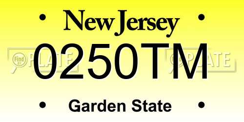 0250TM New Jersey License Plate