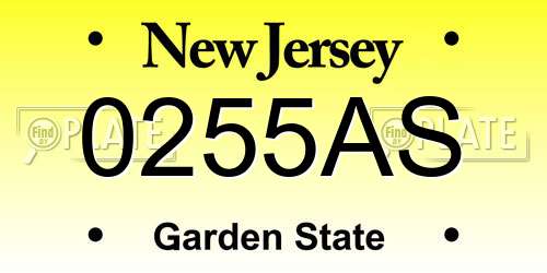 0255AS New Jersey License Plate
