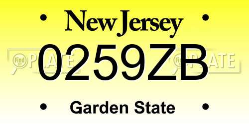 0259ZB New Jersey License Plate