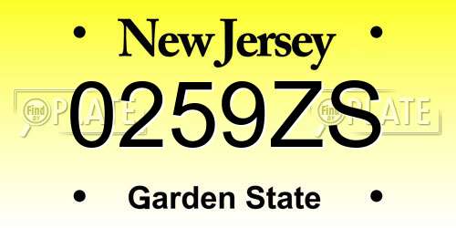 0259ZS New Jersey License Plate