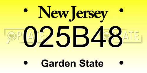 025B48 New Jersey License Plate