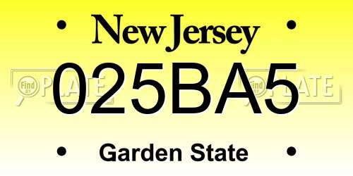 025BA5 New Jersey License Plate