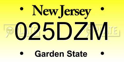 025DZM New Jersey License Plate
