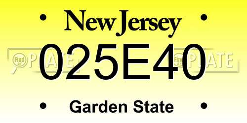 025E40 New Jersey License Plate