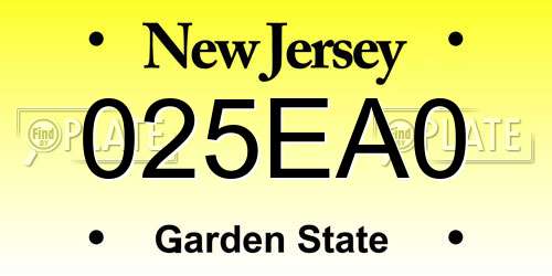 025EA0 New Jersey License Plate