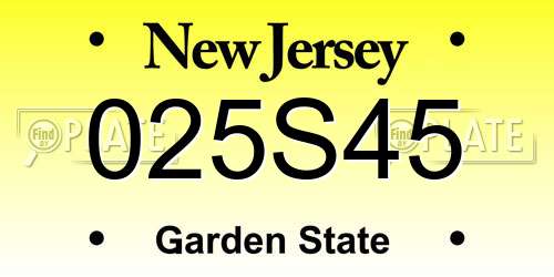025S45 New Jersey License Plate