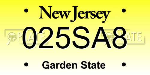 025SA8 New Jersey License Plate