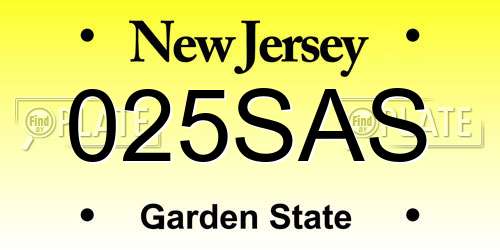 025SAS New Jersey License Plate