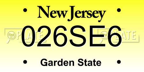 026SE6 New Jersey License Plate