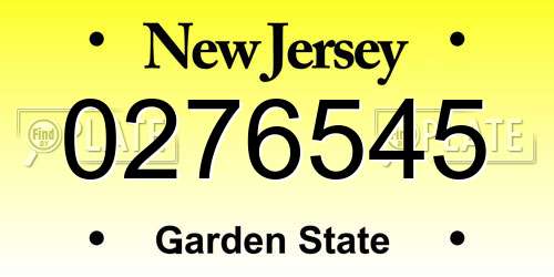 0276545 New Jersey License Plate