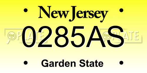 0285AS New Jersey License Plate