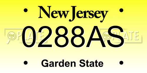 0288AS New Jersey License Plate