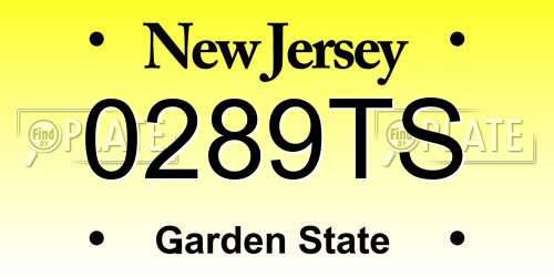 0289TS New Jersey License Plate